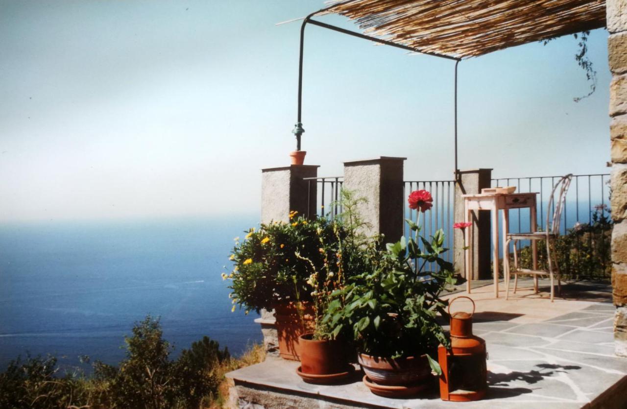 Cottage La Casa Del Pittore Reggimonti ภายนอก รูปภาพ