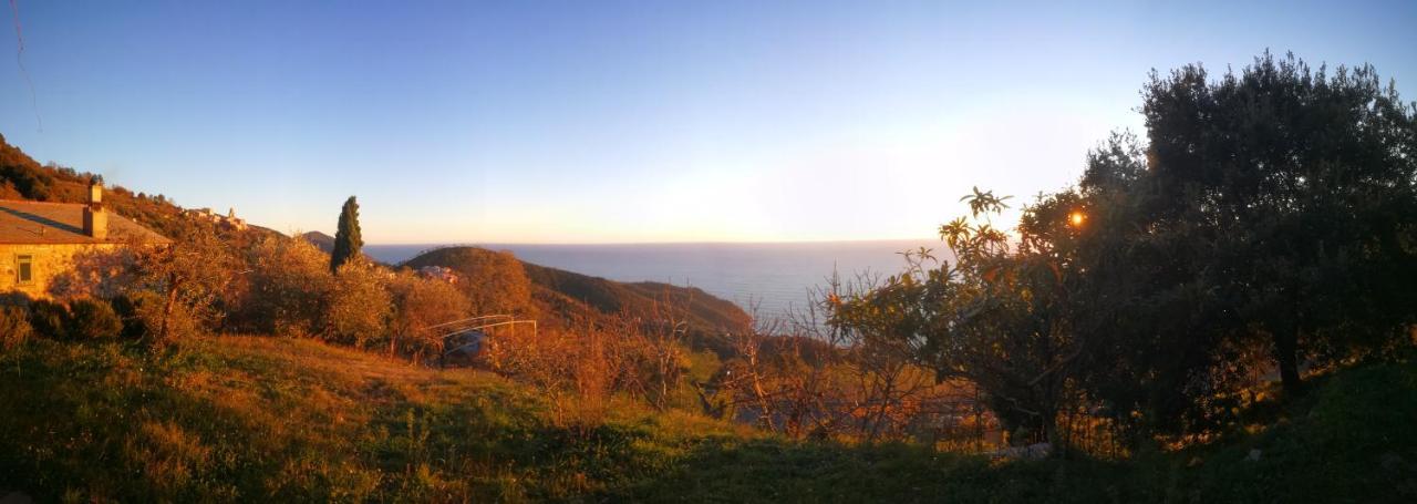 Cottage La Casa Del Pittore Reggimonti ภายนอก รูปภาพ
