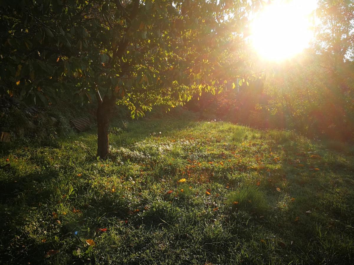 Cottage La Casa Del Pittore Reggimonti ภายนอก รูปภาพ