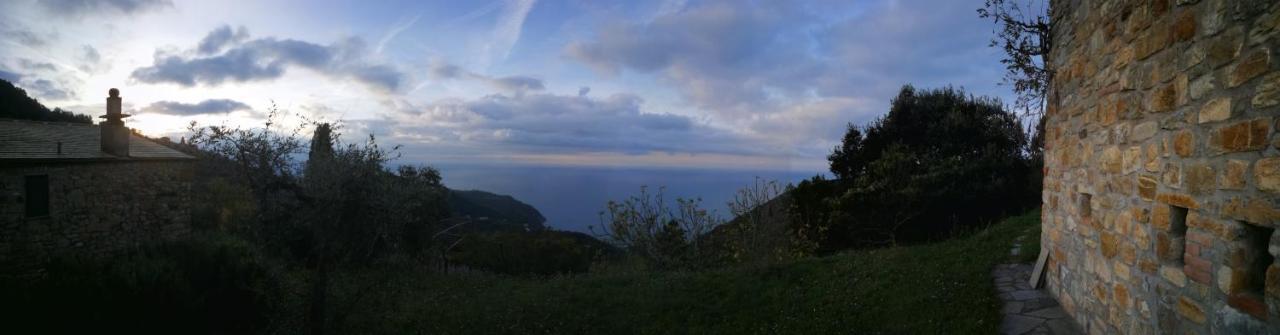 Cottage La Casa Del Pittore Reggimonti ภายนอก รูปภาพ