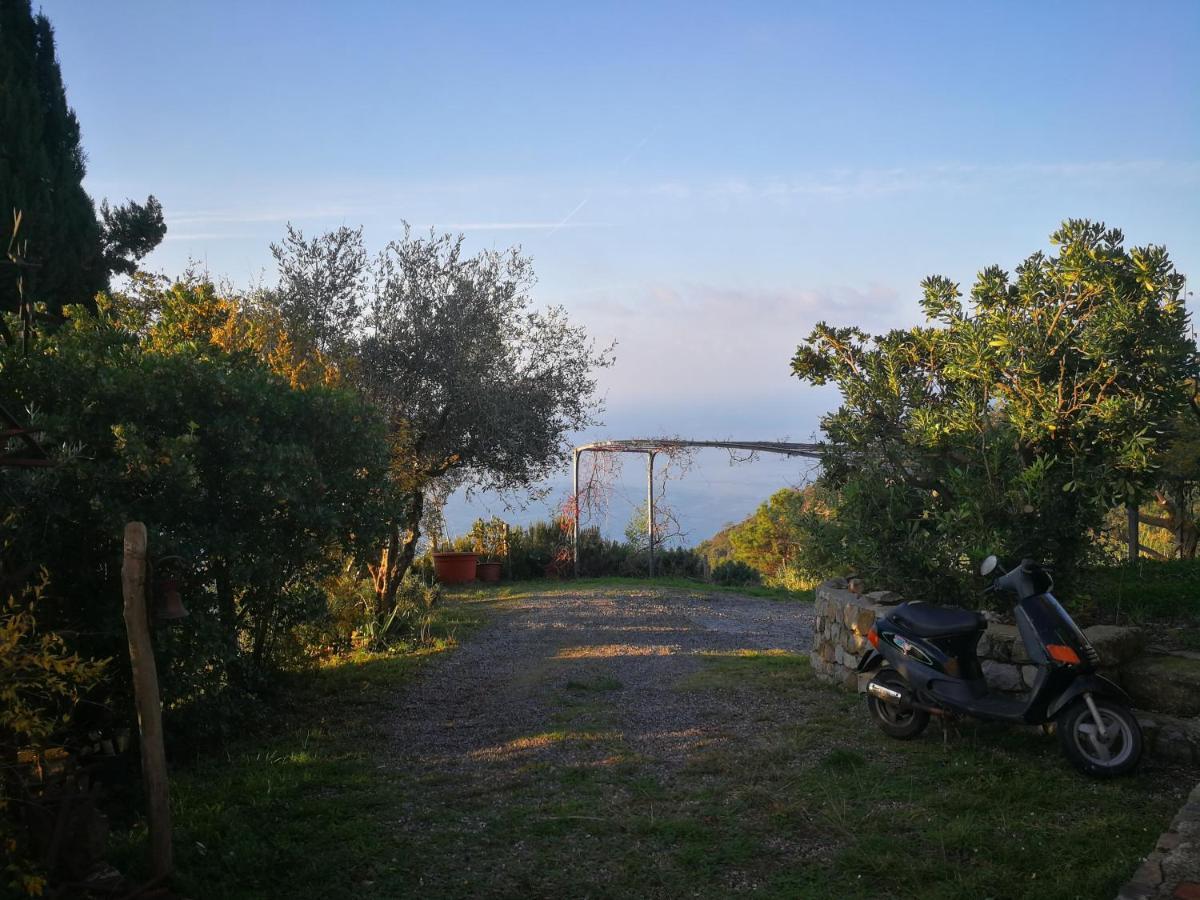Cottage La Casa Del Pittore Reggimonti ภายนอก รูปภาพ