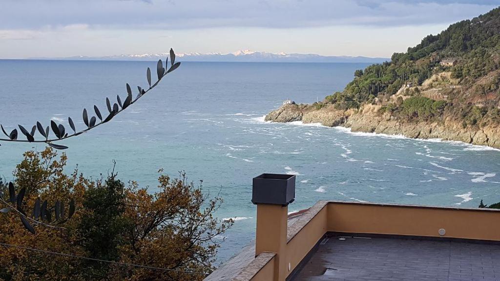 Cottage La Casa Del Pittore Reggimonti ภายนอก รูปภาพ