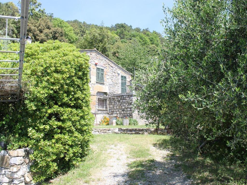 Cottage La Casa Del Pittore Reggimonti ภายนอก รูปภาพ