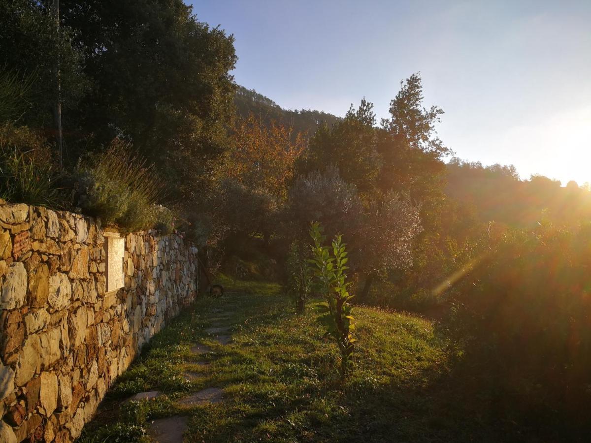 Cottage La Casa Del Pittore Reggimonti ภายนอก รูปภาพ