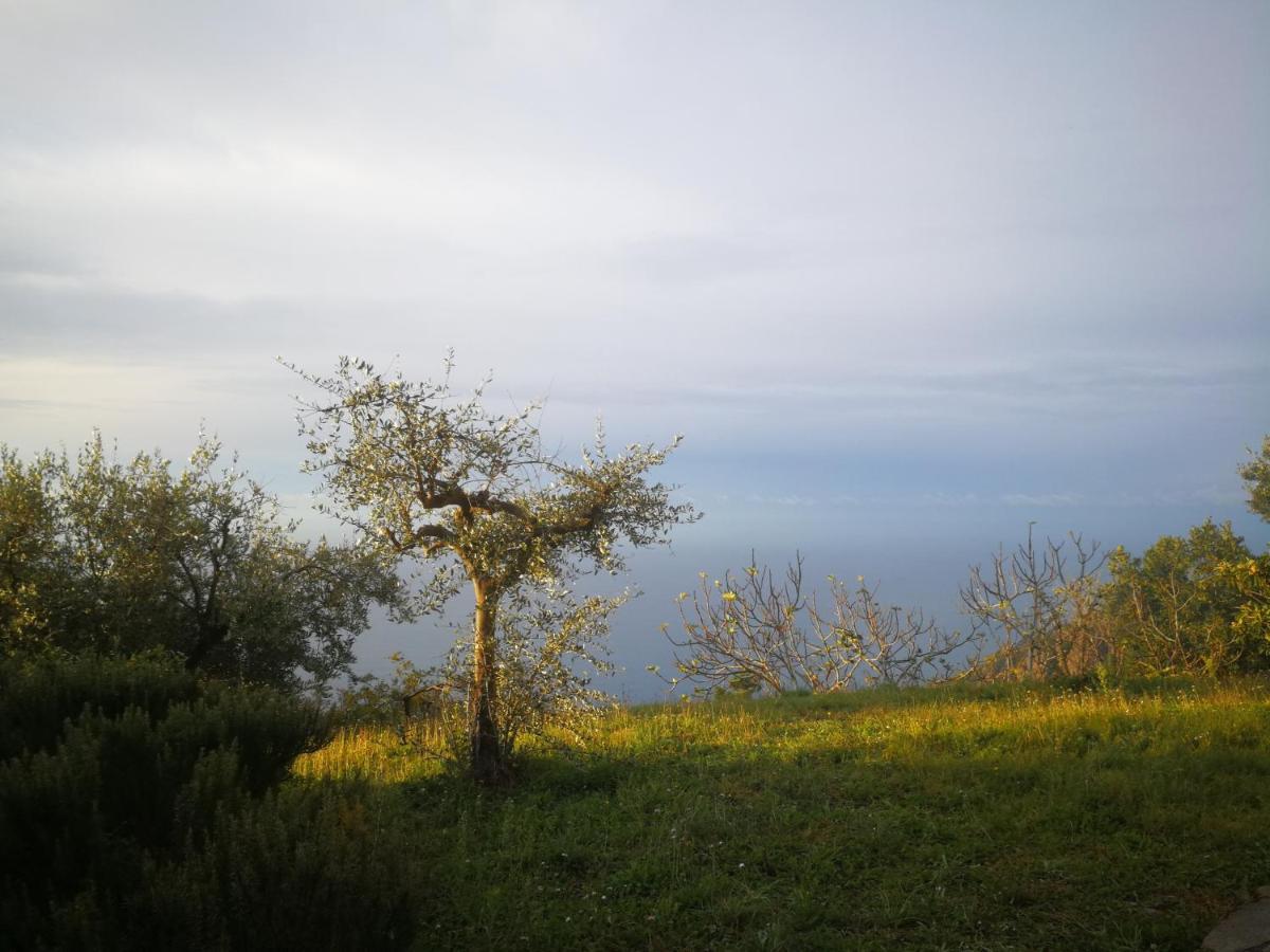 Cottage La Casa Del Pittore Reggimonti ภายนอก รูปภาพ