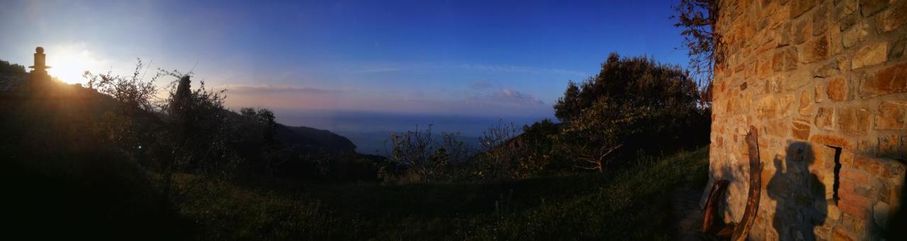 Cottage La Casa Del Pittore Reggimonti ภายนอก รูปภาพ