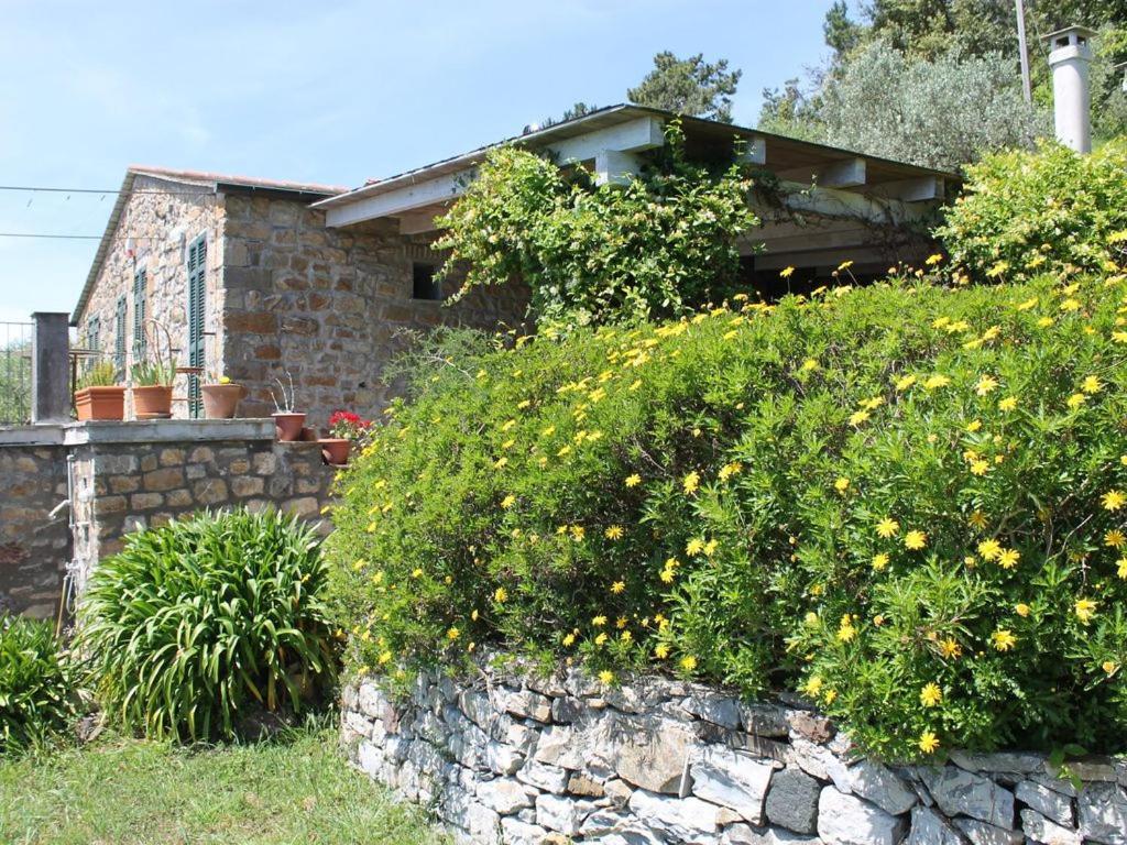 Cottage La Casa Del Pittore Reggimonti ภายนอก รูปภาพ